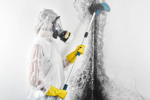 Best Forensic Mold Investigation  in Thorntown, IN