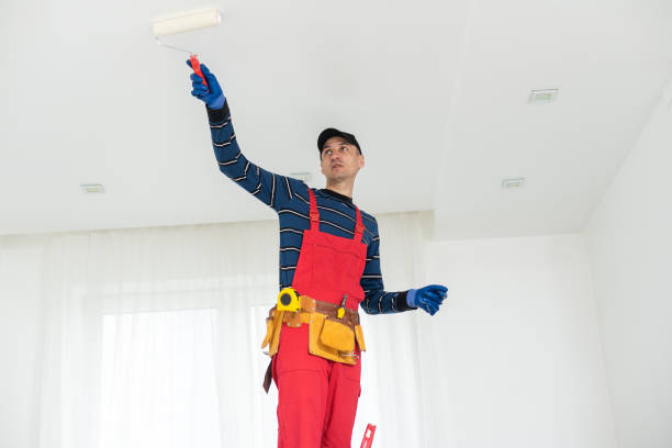 Best Basement Mold Removal  in Thorntown, IN